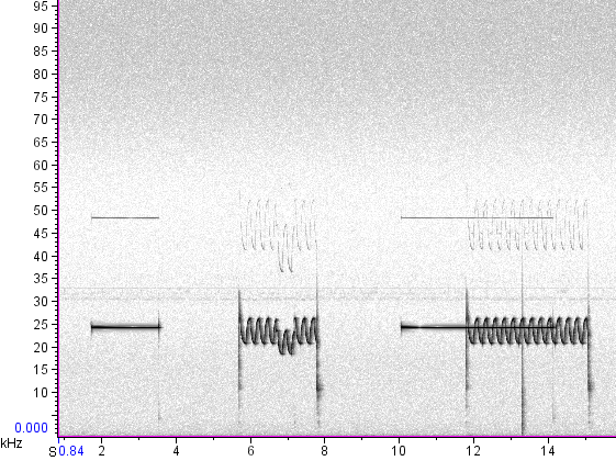 spectrogram of tone sources