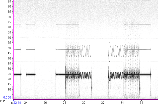 spectrogram showing mixing products
